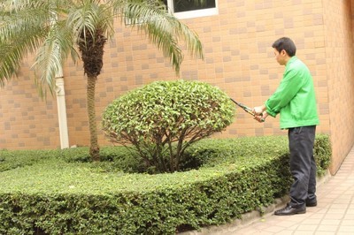 廠企保潔服務(wù)，專(zhuān)業(yè)清潔解決方案——聚焦廣州番禺清潔公司